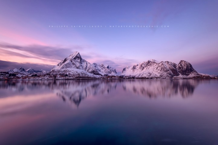 Reine au lever du jour