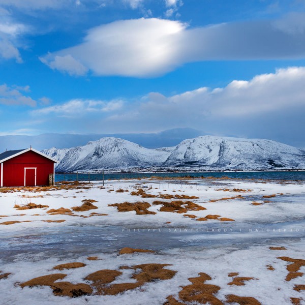 Postcard From Norway