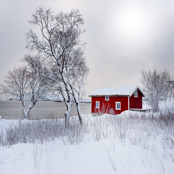 Red Solitude Un rorbu sous la neige en Norvège