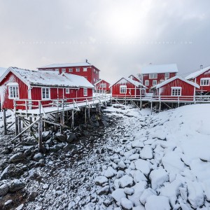 Reine The Village Le village de Reine sur les Lofoten