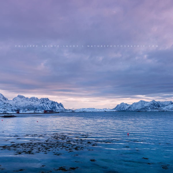 Searching For An Angel