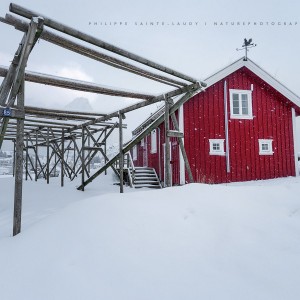 Snow in the Wind Structure pour faire sécher le poisson en Norvège