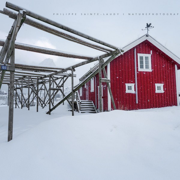 Snow in the Wind Structure pour faire sécher le poisson en Norvège