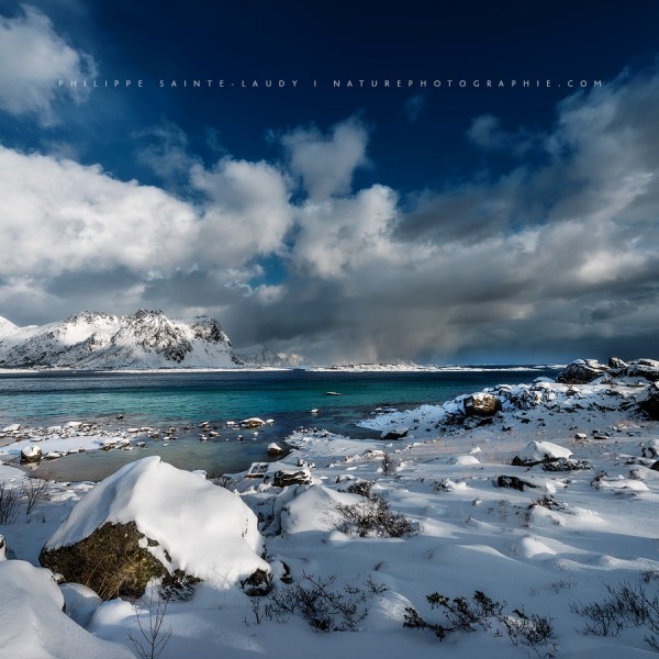 Something Beautiful Remains