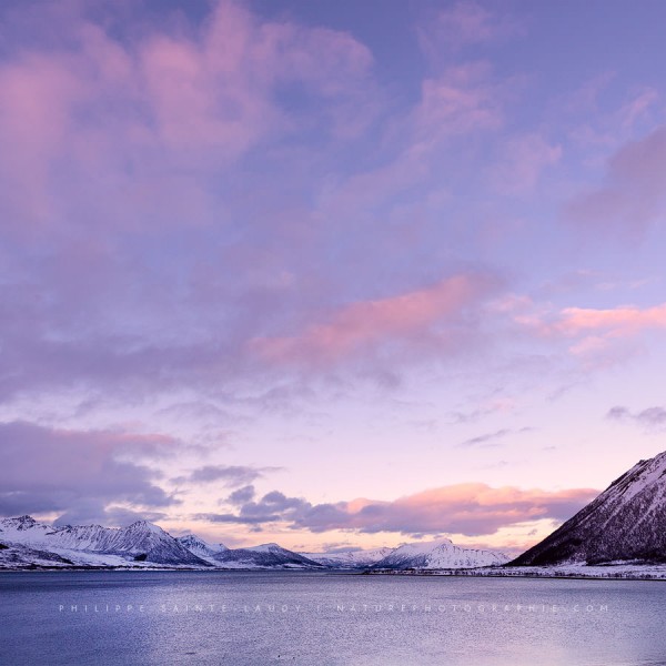 Something To Live For