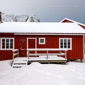 Static Red Rorbu des îles Lofoten