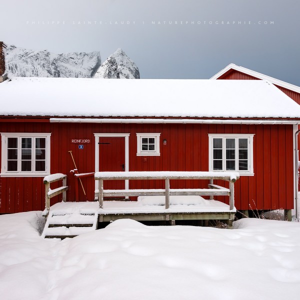 Static Red Rorbu des îles Lofoten