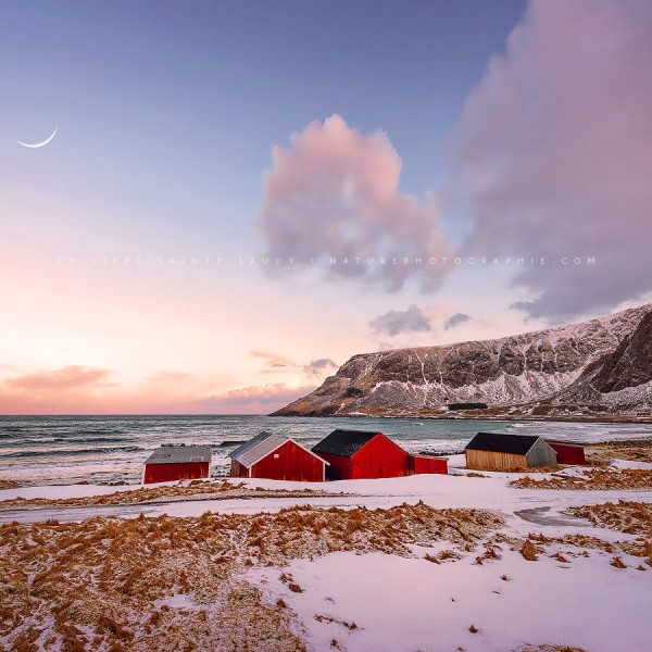 The Ballad Of Me And My Brain