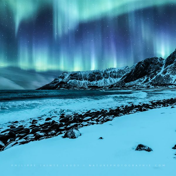 The Seven Sense Aurore boréale sur la plage de Unstad - Norvège