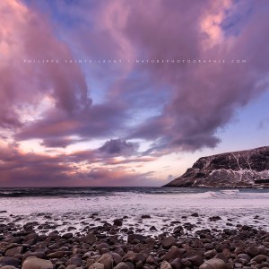 This Must Be My Dream