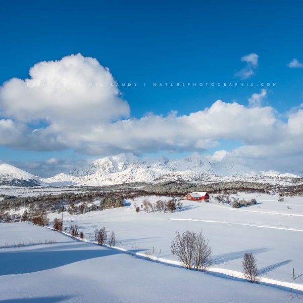 Walking In The Light
