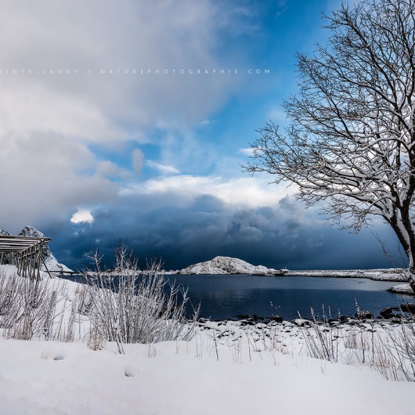Way Out Paysage de neige en Norvège