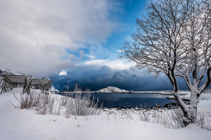 Paysage de neige en Norvège
