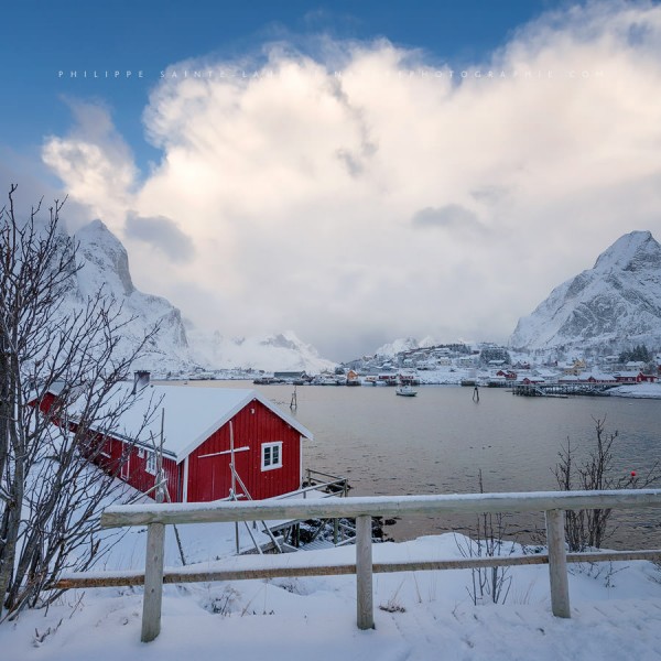 Winter Waltz Reine sous la neige