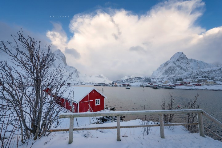 Reine sous la neige