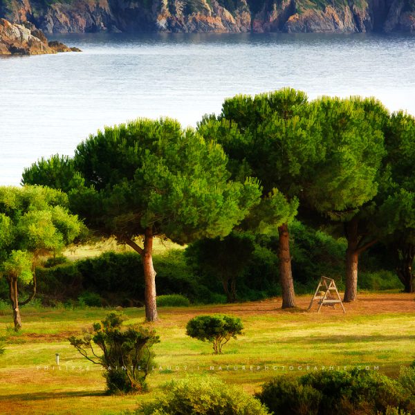 At the Water’s Edge