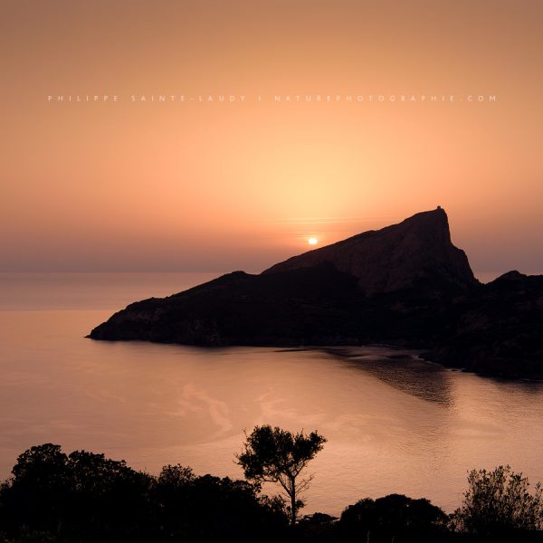 Beauty of the Broken Heart