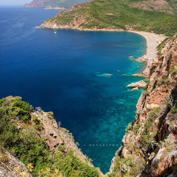 Do Not Change The Colors