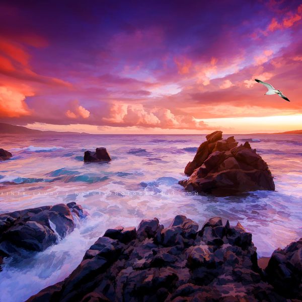 Dream of a Samurai Coucher de soleil en Corse