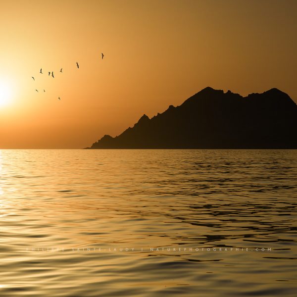 Golden sunset in Corsica