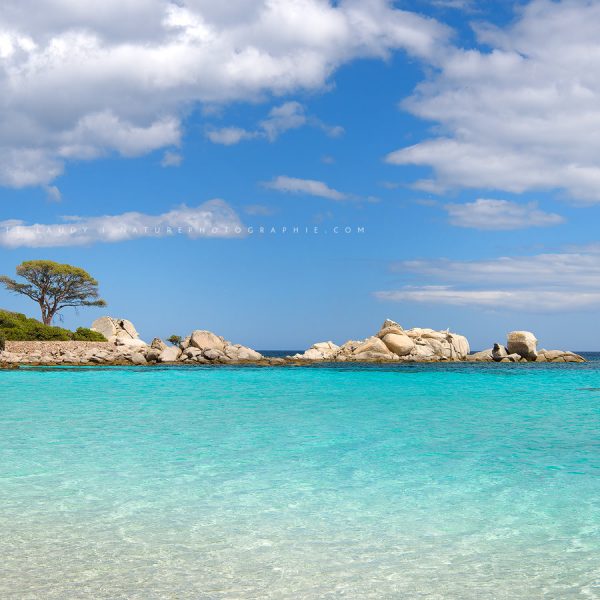 Greetings From Corsica