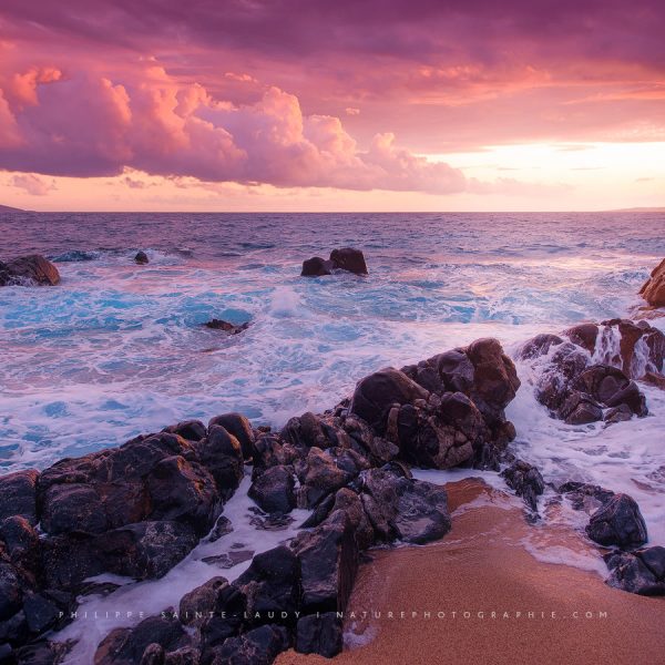 Happiness Is Priceless