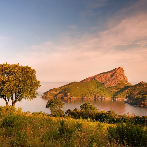 Keep That Same Old Feeling