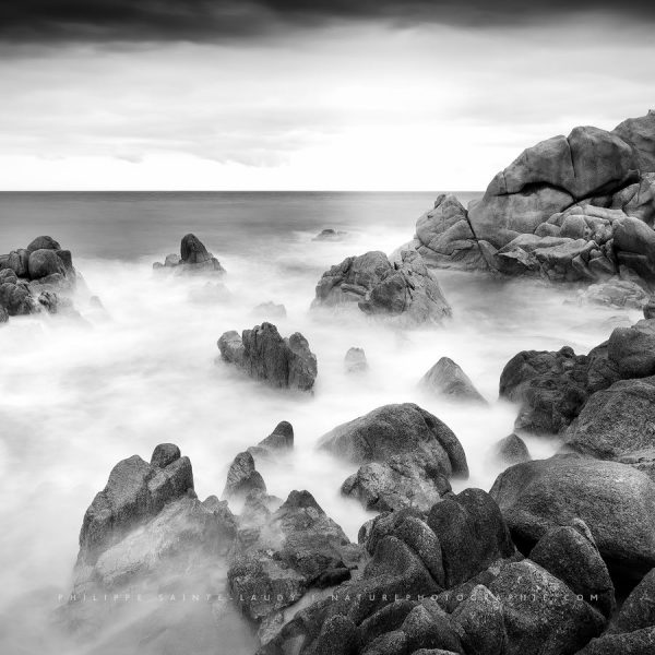 Real Thing Interlude