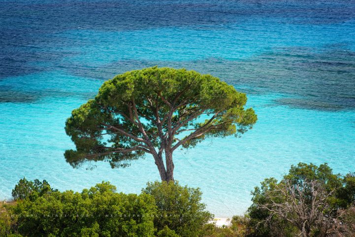 Au-dessus de la plage de Palombaggia