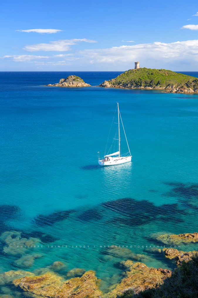 Welcome to Corsica