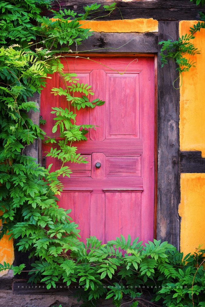 The Secret of Red Gate