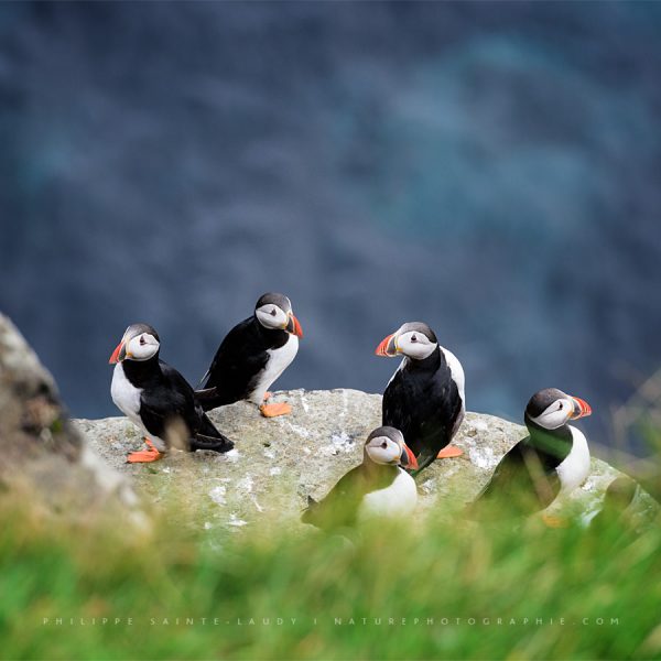 Conversation Between Friends