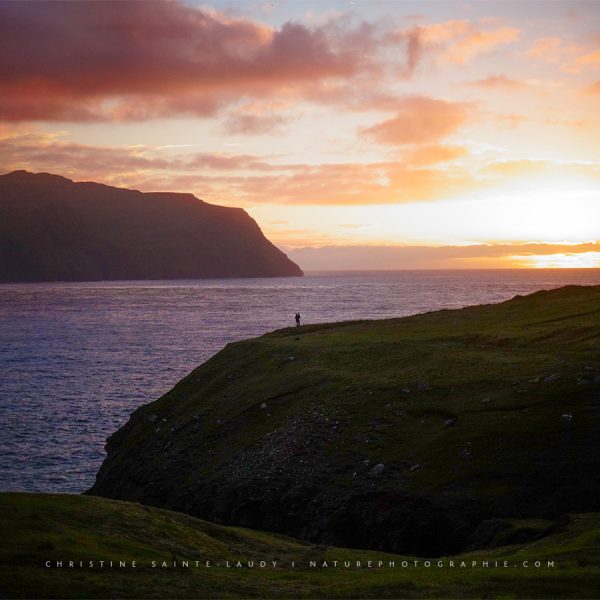 Dans le feu de l’action