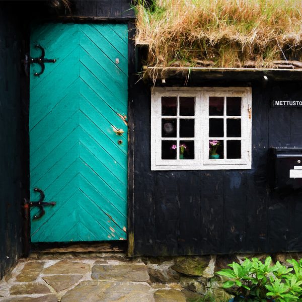 Flowers at the Window
