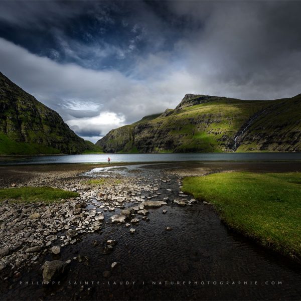 Looking for Something