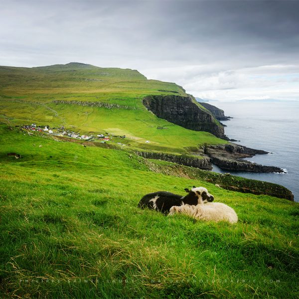 mykines-cliffs