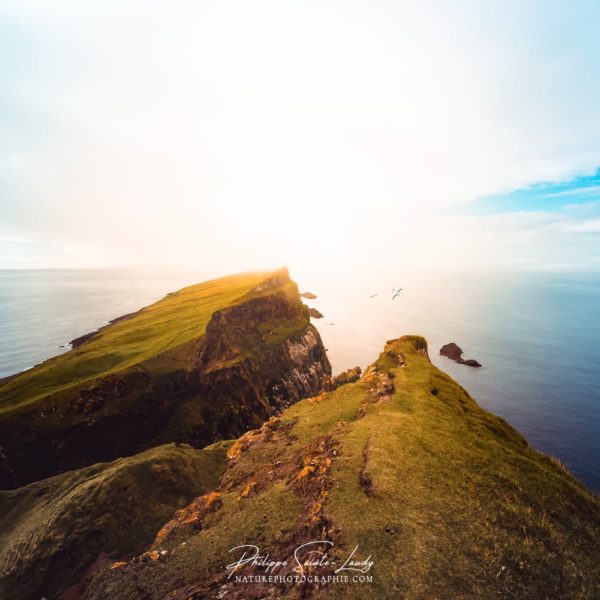 Peace is always Beautiful Peace is always Beautiful