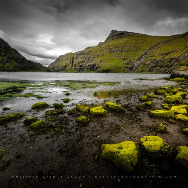 Something’s Calling