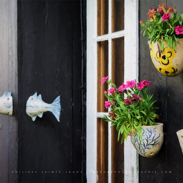 The Fish In The Wall