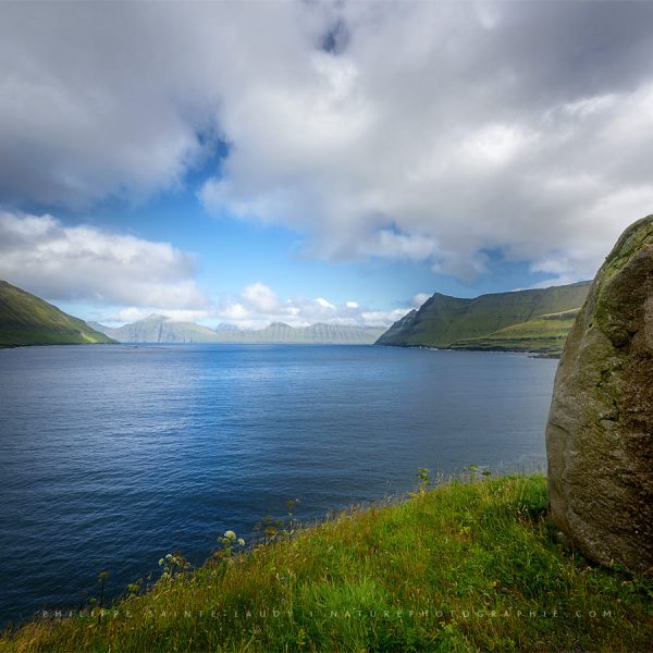 The Landscape and the Guard