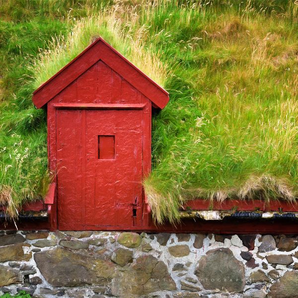 When the Grass Grows on Roofs