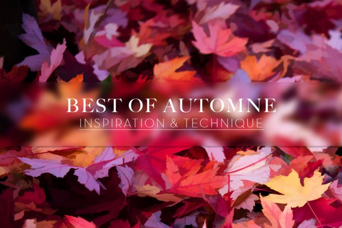 Best of automne