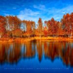 Reflet d'une forêt en automne - 1000 Étangs