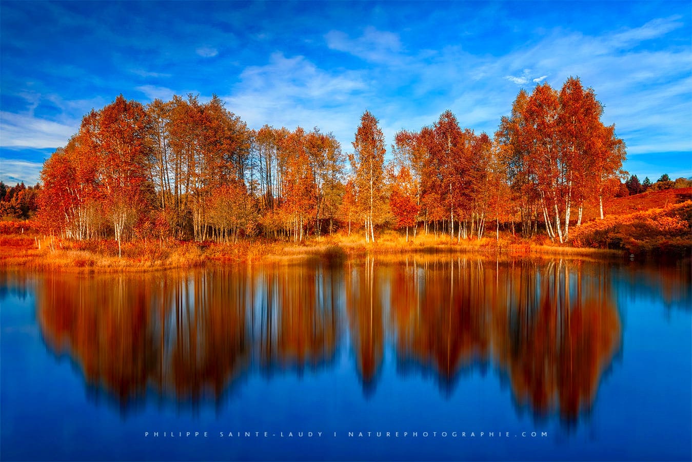 Reflet d'une forêt en automne - 1000 Étangs