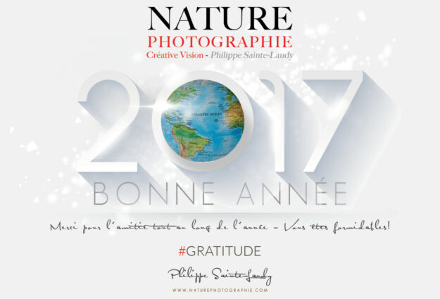 Bonne Année