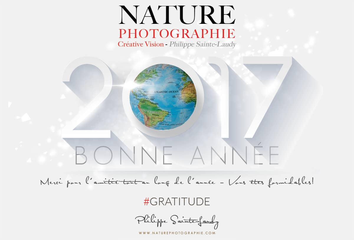 Bonne Année