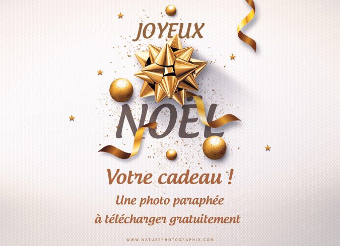 Joyeux-Noël