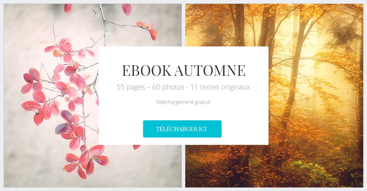 Télécharger le ebook automne