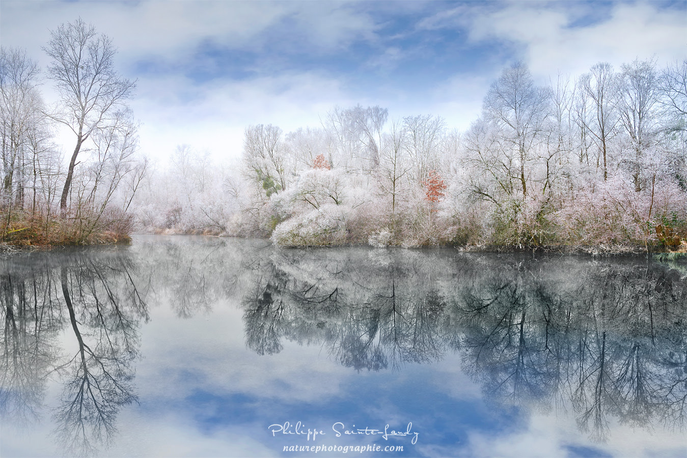 Reflet d'une forêt au bord de l'eau en hiver