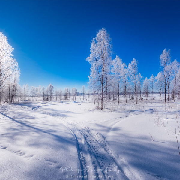 Blue and White Sun